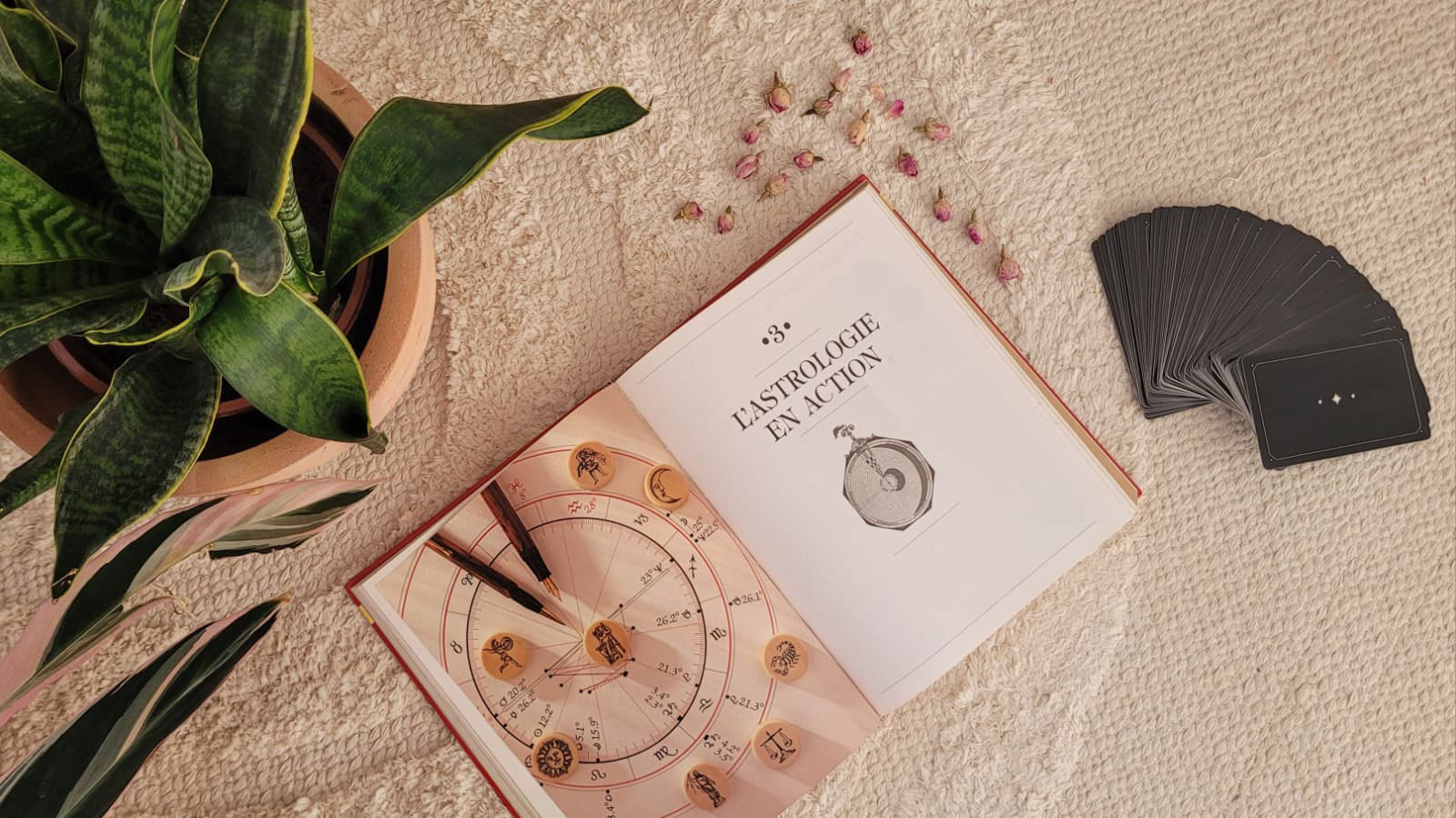 Sacred Astrology Birth Chart Reading